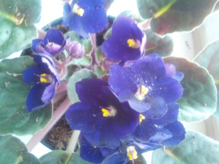          04
